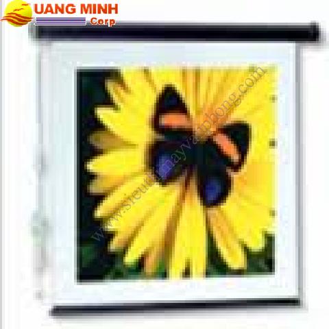 Màn chiếu điện Dinon 84 Inches